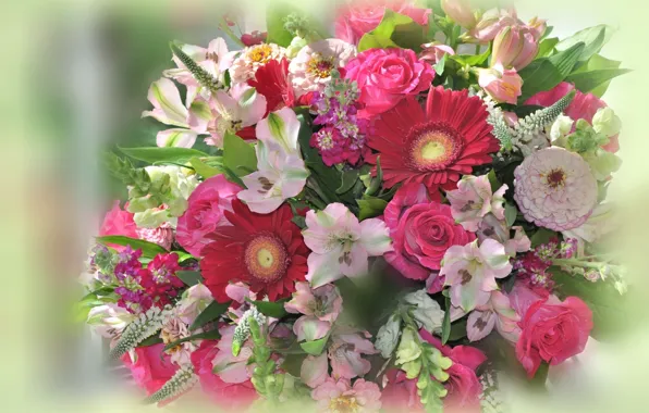 Flowers, background, bouquet, frame, green background, composition