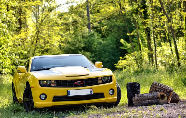 2012, Chevrolet, camaro, chevrolet, transformers, Camaro, transformers edition