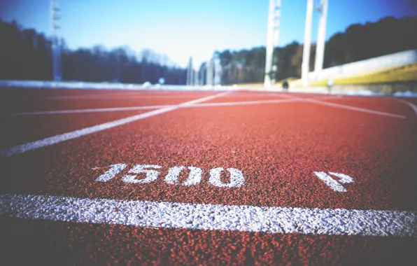 The city, markup, track, stadium, cross country