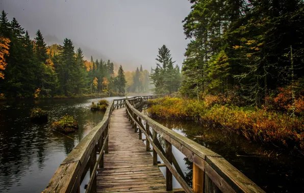 Picture autumn, bridge, Park