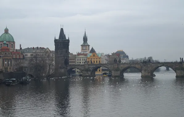 River, tower, Prague, Czech Republic, Vltava, Charles bridge