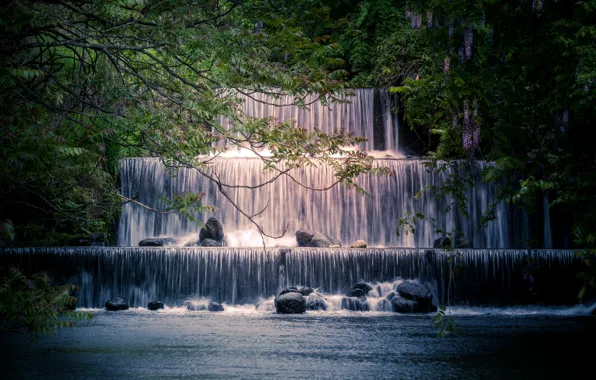 Trees, branches, river, stones, waterfall, Japan, cascade