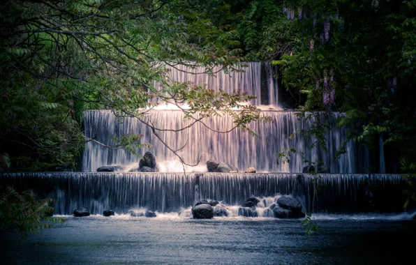 Picture trees, branches, river, stones, waterfall, Japan, cascade