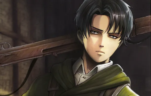 Look, art, guy, Shingeki no Kyojin, The invasion of the titans, Attack of the titans, …
