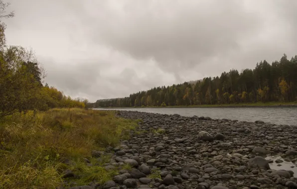 Autumn, mountains, river, Altay, Biya