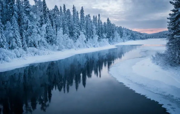 Picture winter, snow, landscape, nature, river, forest, Bank, Karelia