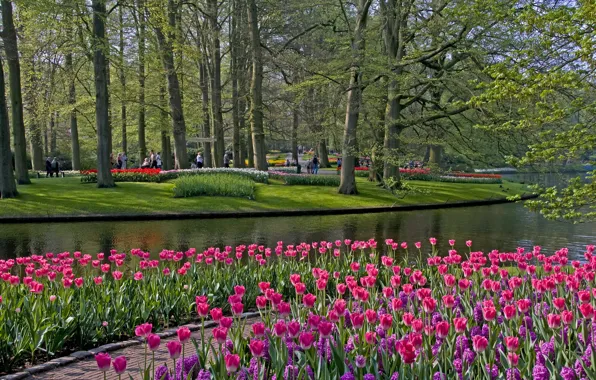 Grass, trees, flowers, pond, Park, tulips, Netherlands, Keukenhof