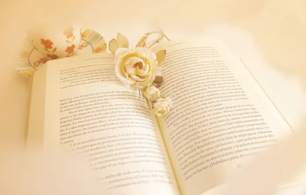 Picture flowers, style, book