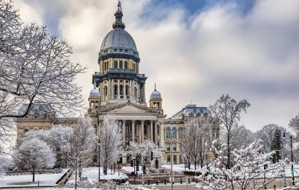 Photo, Home, Winter, The city, Snow, USA, Illinois, Capitol
