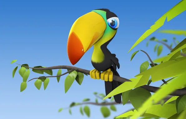 Picture bird, branch, leaves, Toucan