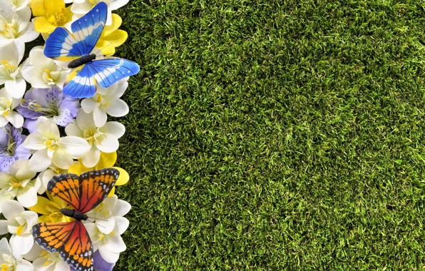 Butterfly, flowers, spring, grass, weed, flowers, spring, lawn