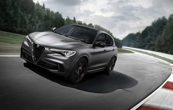 Alfa Romeo, racing track, 2018, crossover, Four-leaf clover, Stelvio