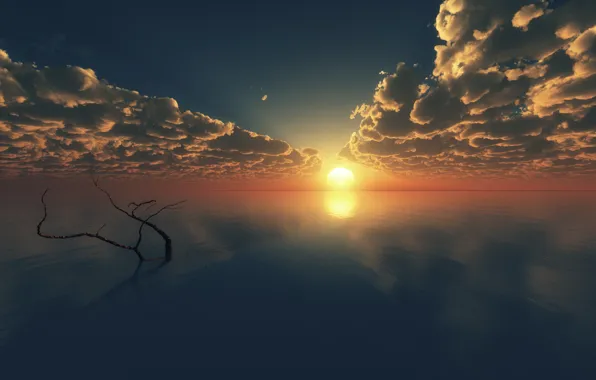 Sea, clouds, sunset, surface, tree, branch, horizon, art