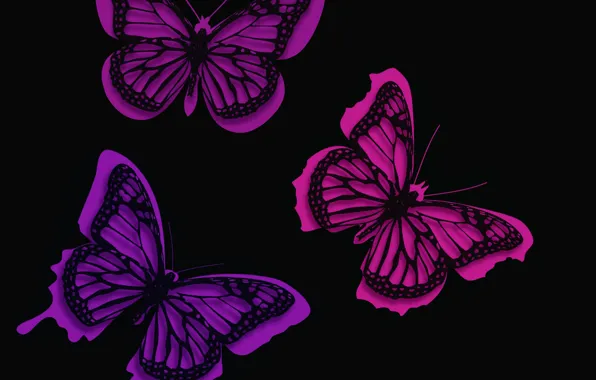 Picture line, background, pattern, butterfly, paint, moth