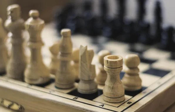 The game, chess, Board, figure