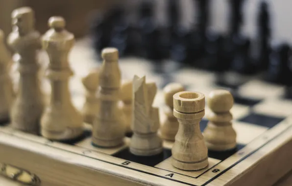 The game, Board, chess, figure