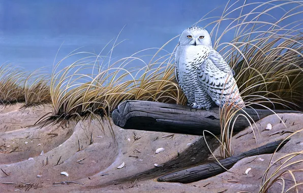 Sand, birds, owl, log, painting, dry grass, Against the Wind, Wilhelm J. Goebel