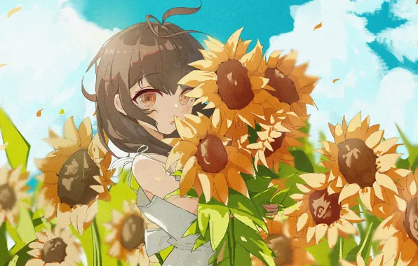 Clouds, girl, vacation, brown eyes, blue sky, bangs, white sundress, field of sunflowers