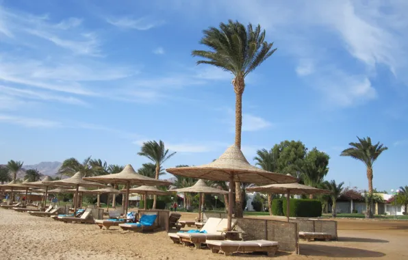 Sea, beach, Egypt, palm trees, beach chairs sea