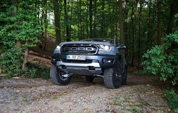 Picture forest, grey, Ford, before, Raptor, pickup, Ranger, 2019