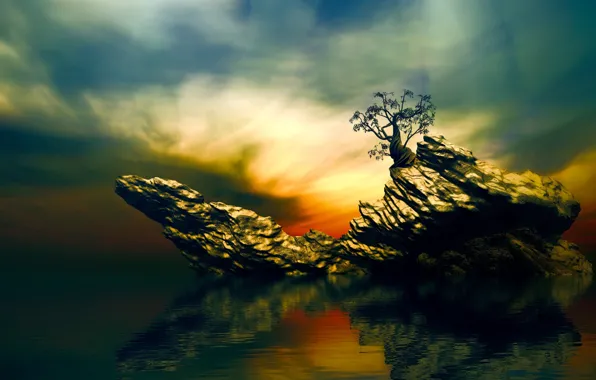 The sky, reflection, tree, rocks, lonely tree