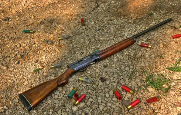 The gun, cartridges, Smoothbore, self-loading, Remington, Model 11