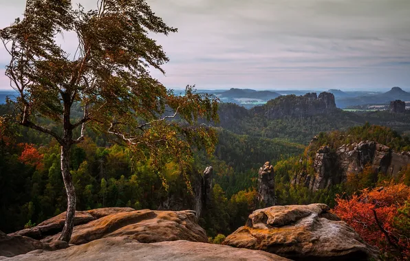 Forest, mountains, stones, rocks