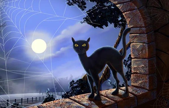 Night, web, the full moon, black cat, yellow eyes, black magic
