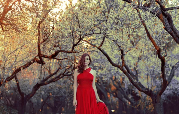 Picture girl, style, background, dress, in red