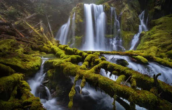 Moss, Oregon, waterfalls, cascade, Oregon, logs, Downing Creek, Downing Creek Falls