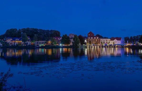 Picture the sky, trees, night, lights, river, the moon, shore, home