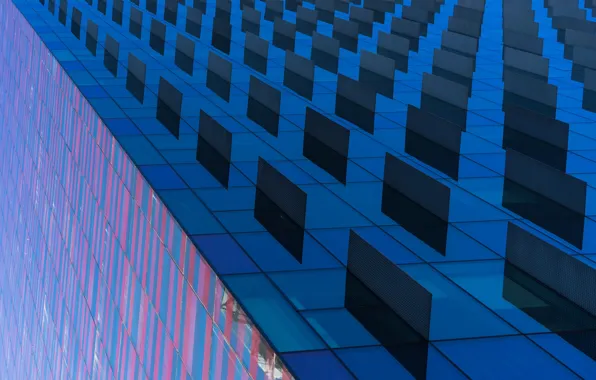 The city, wall, building, panel, window