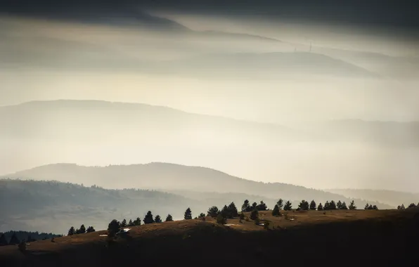 Trees, mountains, fog, antenna, trees, mountains, fog, antenna