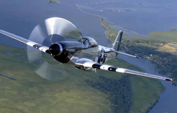 Picture the sky, retro, Mustang, fighter, space, silver, airbrushing, American