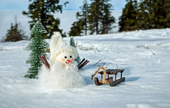 Winter, forest, snow, branches, nature, holiday, hat, toy