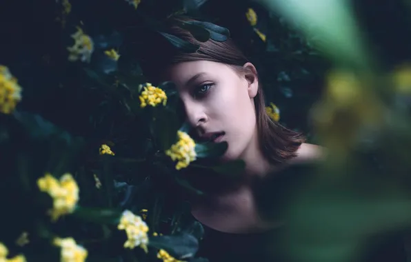 Picture look, leaves, girl, flowers, nature, bokeh, Michael Dyer