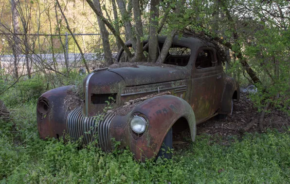 Machine, Tree, rust, abandoned