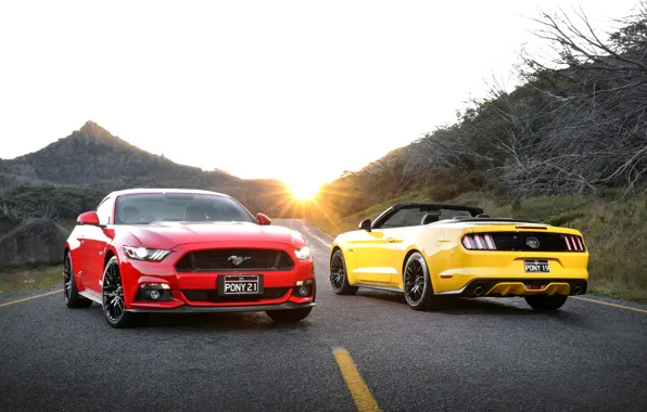 Mustang, Ford, Mustang, Ford