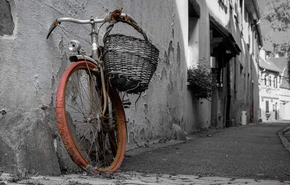 Bike, the city, street, naturalism