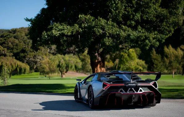 Nature, Lamborghini, supercar, rear view, Veneno