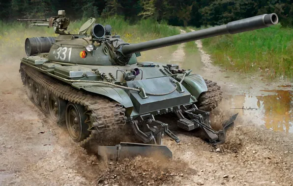 Tank, average, T-55A, Nationale Volksarmee, GDR, Auletta, clearance machine, minesweeping