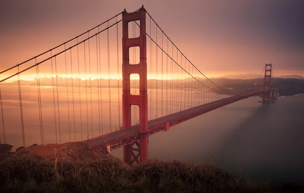 The sun, Bridge, Morning, CA, Golden gate, San Francisco