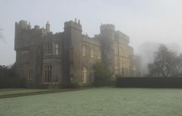 The sky, trees, fog, lawn, UK, architecture, Wales, Wales