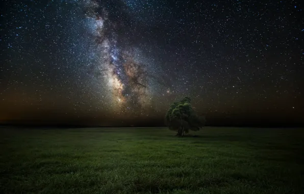 Field, the sky, stars, night, tree, the milky way