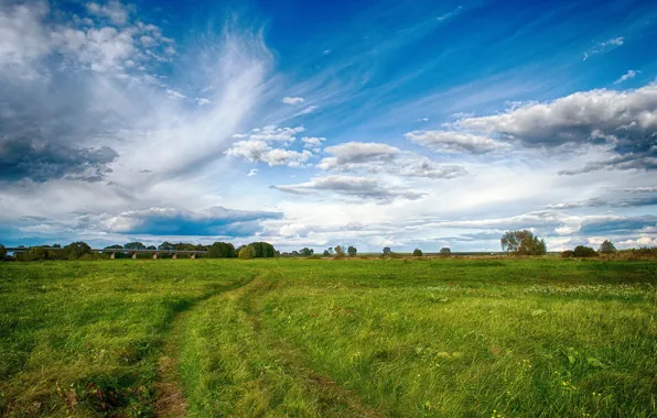 Picture greens, field, the sky, grass, landscape, nature
