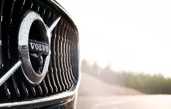 Volvo, Emblem, Car, Logo, Silver, Cross Country, 2017, V90