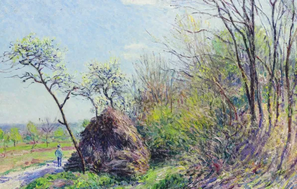 Picture landscape, picture, Alfred Sisley, Alfred Sisley, The Edge Of The Forest
