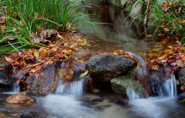 Picture autumn, grass, leaves, stream, stones, waterfall