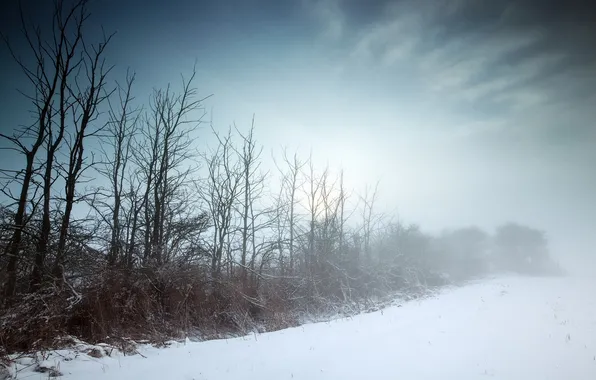 Picture winter, field, landscape, fog