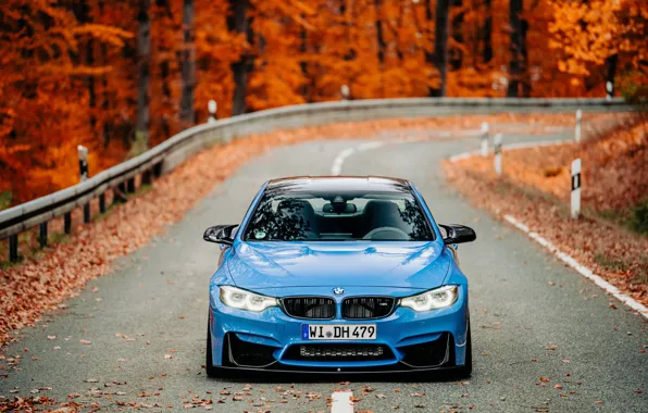 Picture BMW, Blue, Autumn, Road, F80, Sight